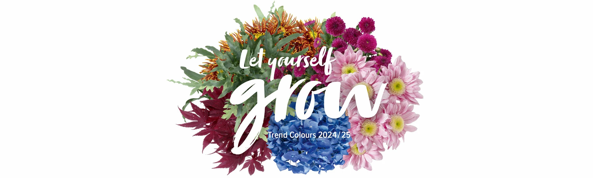 Let yourself grow banner