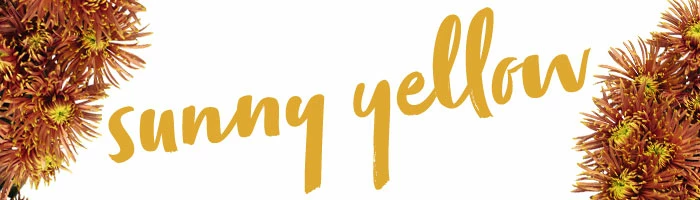 Sunny Yellow banner