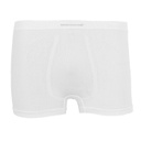 DermaSilk Boxer Shorts (Adult - Male)